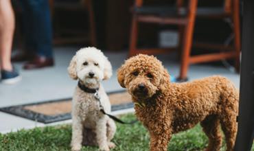 Grooming tips