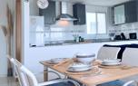Modern dining chairs
