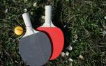 Ping pong table