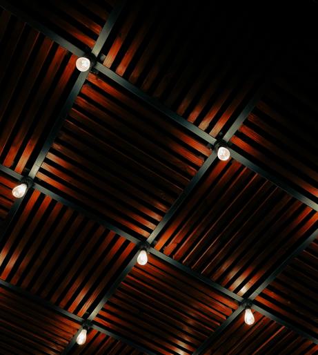 Lighting Ceiling Fan Overview