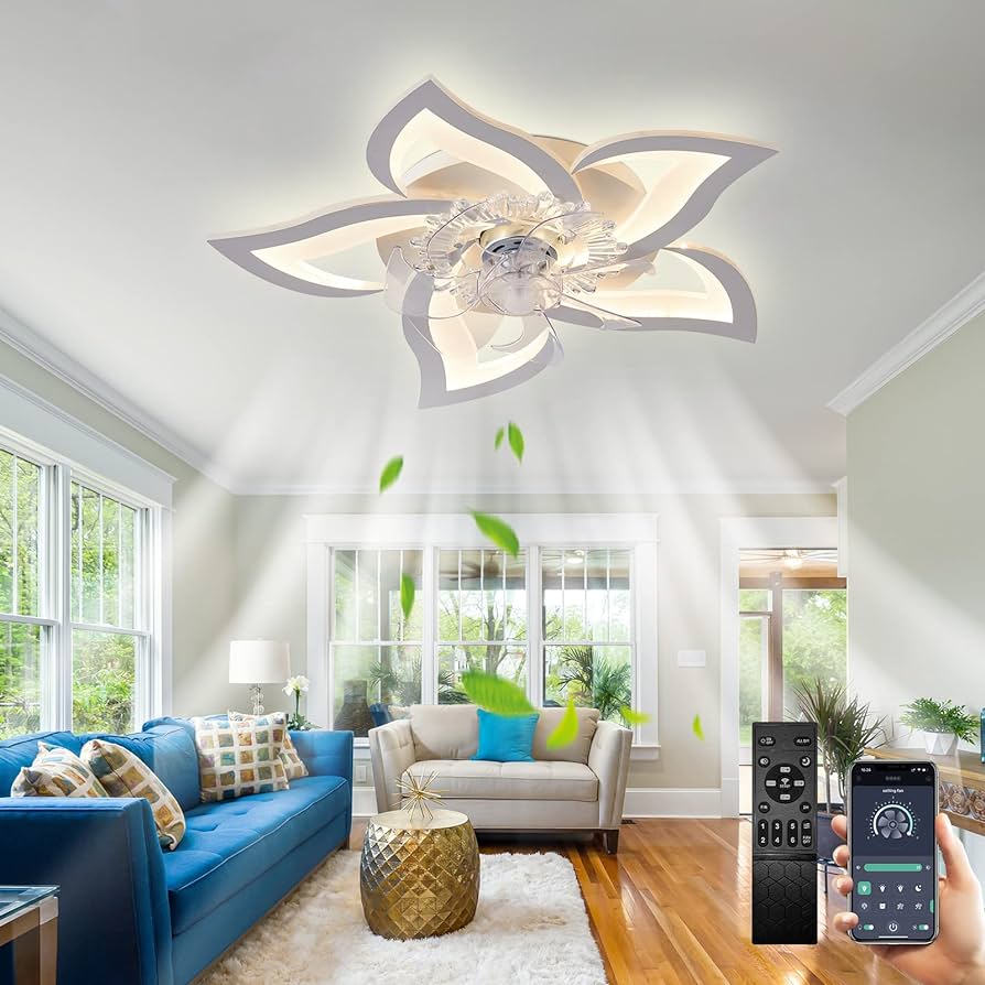 Lighting & Ceiling Fans