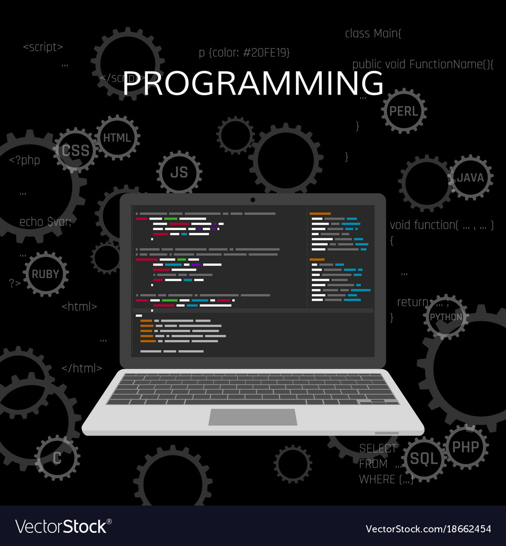 Programming & Web Development