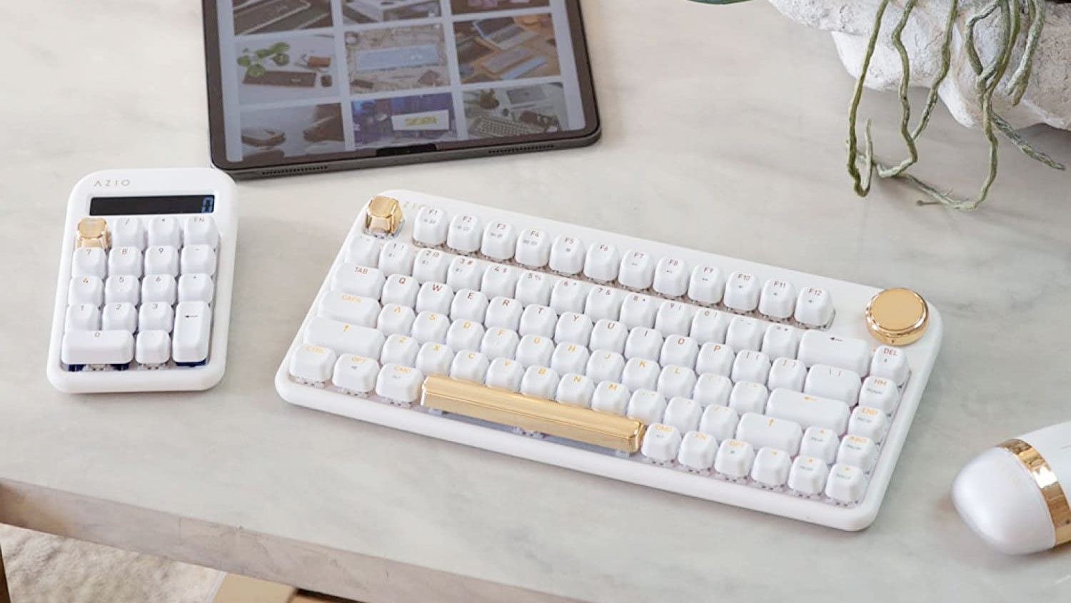 Tablet Accessories