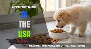 Top-Rated Dry Puppy Dog Food in the USA: A Comprehensive Guide for New Pet Owners