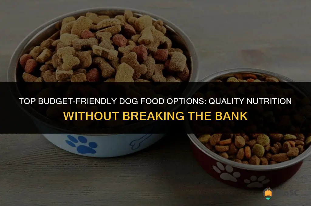 10 best affordable dog foods
