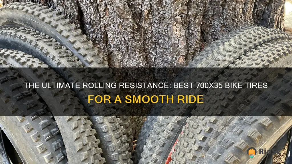 10 best bike tires in a 700x35
