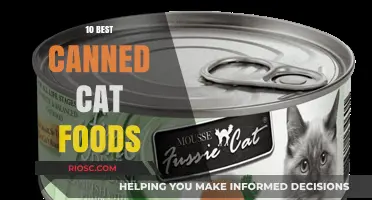Top-Rated Canned Cat Foods: A Comprehensive Guide for Feline Nutrition