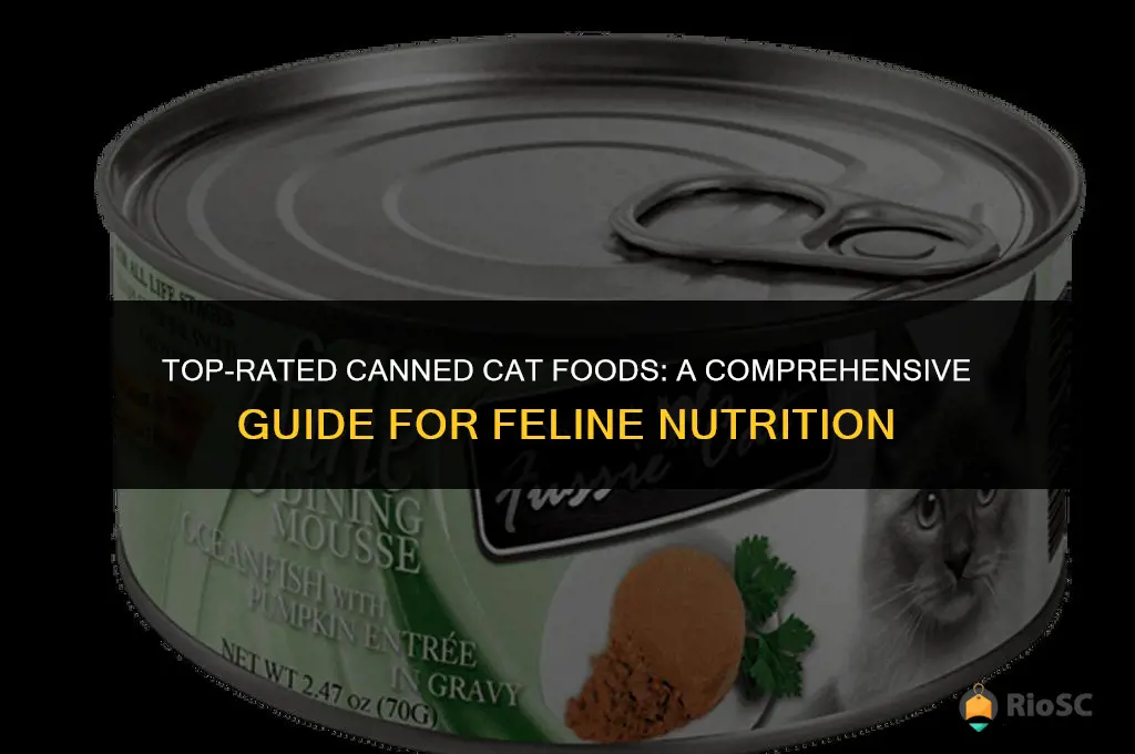 10 best canned cat foods