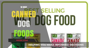 Top-Rated Canned Dog Foods: A Comprehensive Guide for Pet Owners