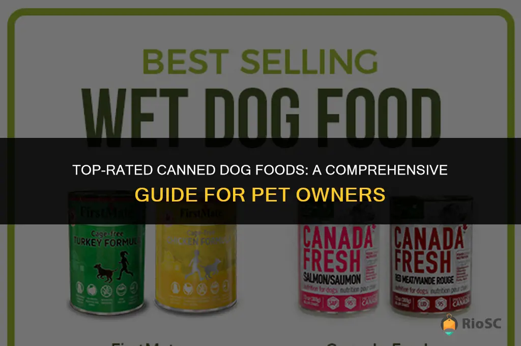 10 best canned dog foods