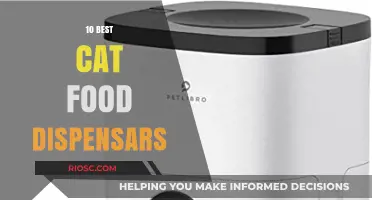 Top-Rated Cat Food Dispensers: A Comprehensive Guide for Feline Care
