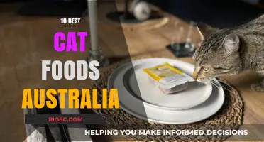 Top-Rated Cat Foods in Australia: A Comprehensive Guide for Feline Nutrition