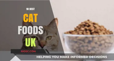 Top-Rated Cat Foods in the UK: A Comprehensive Guide for Feline Nutrition