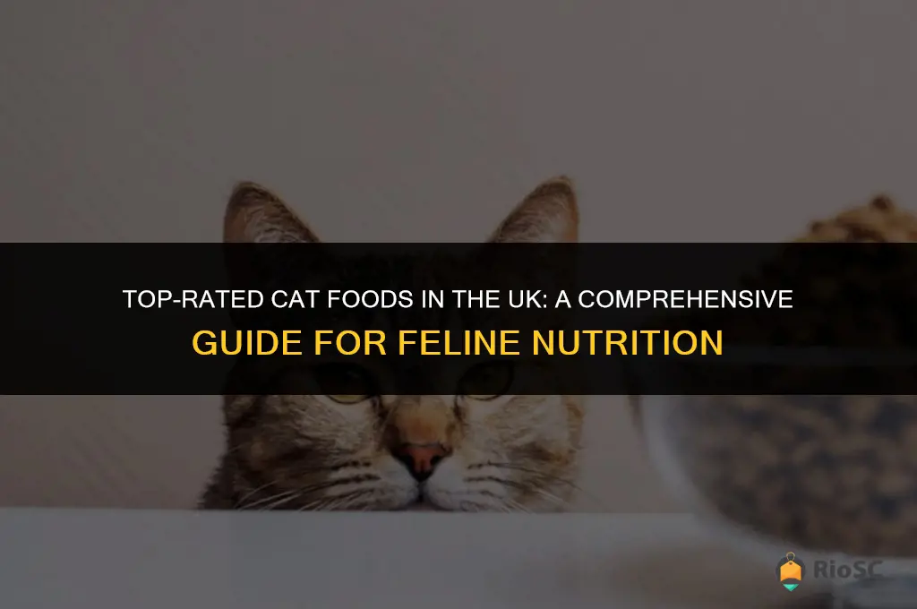 10 best cat foods uk