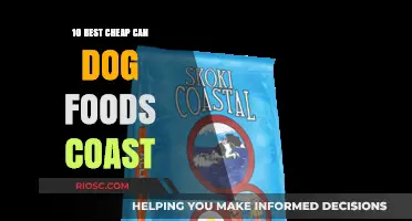 Affordable Canine Cuisine: Top Budget-Friendly Dog Food Options Along the Coast
