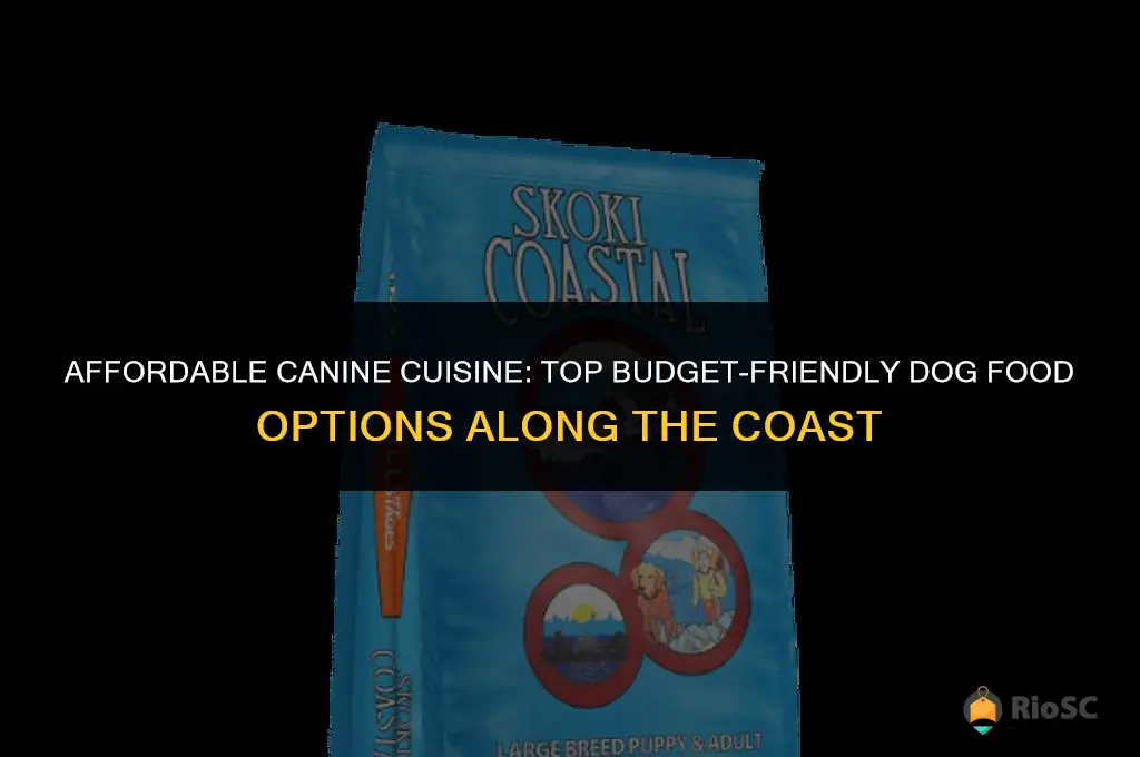 10 best cheap can dog foods coast