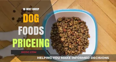 Affordable Nutrition: Top Budget-Friendly Dog Food Options