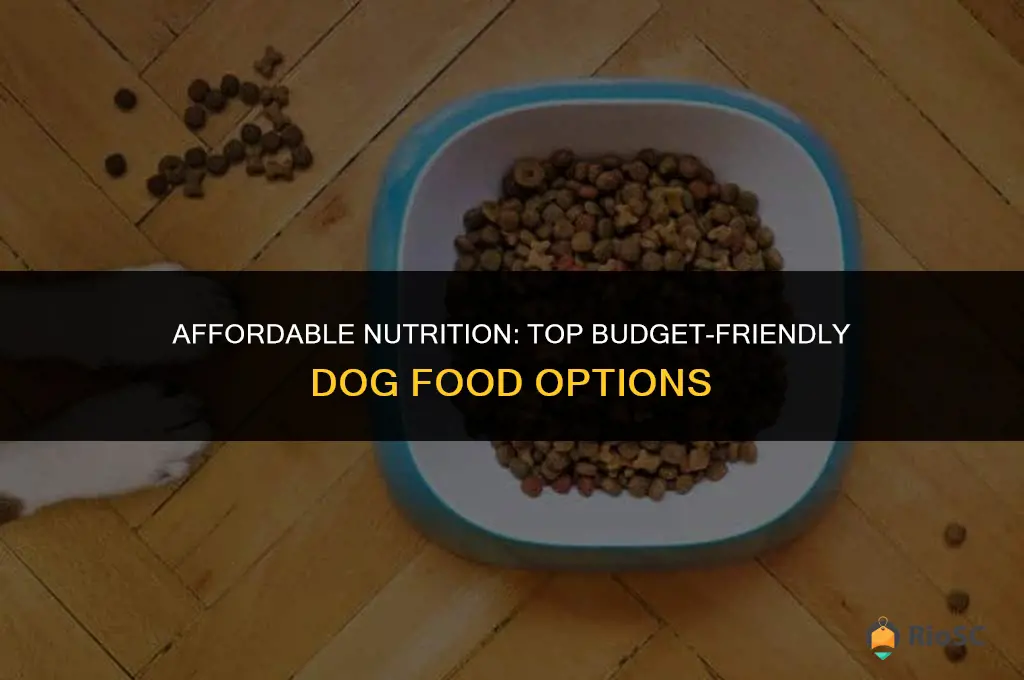 10 best cheep dog foods