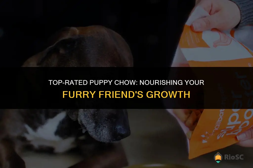 10 best dog food for puppies