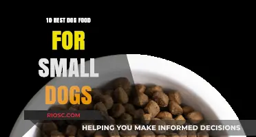 Top-Rated Nutrition: The Best Dog Food Options for Your Small Canine Companion