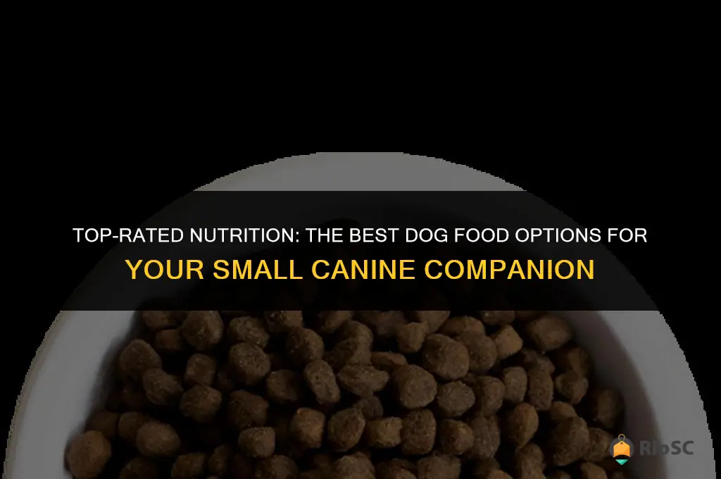 10 best dog food for small dogs