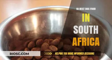 Top-Rated Dog Foods in South Africa: A Comprehensive Guide for Pet Owners