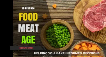 Top-Rated Meat-Based Dog Foods for Aging Canines: A Comprehensive Guide