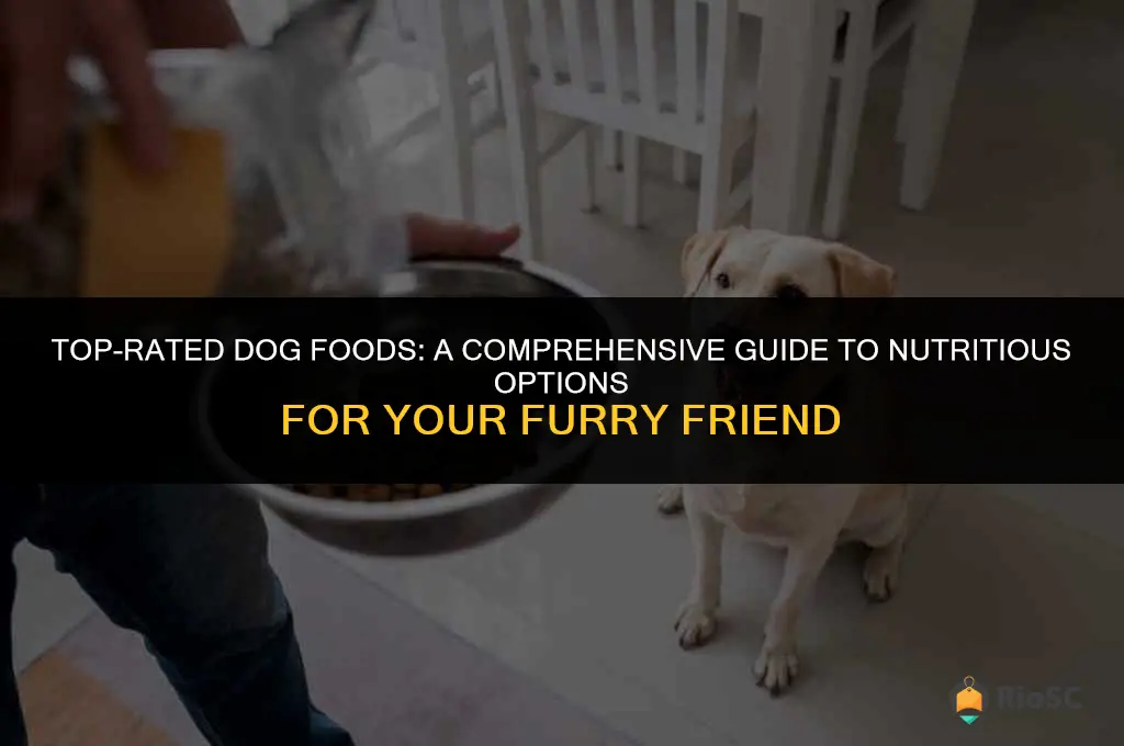 10 best dog food