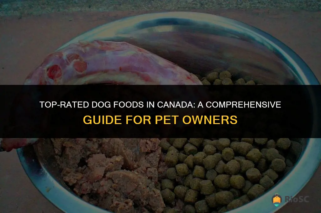 10 best dog foods canada