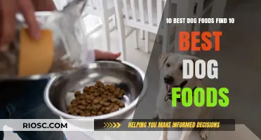 Top-Rated Dog Foods: A Comprehensive Guide to Choosing the Best Nutrition for Your Canine Companion