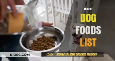 Top-Rated Dog Foods: A Comprehensive Guide to Nutritious Choices for Your Canine Companion