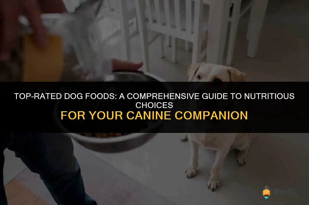 10 best dog foods list