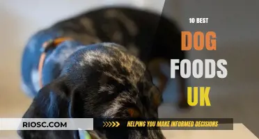 Top-Rated Dog Foods in the UK: A Comprehensive Guide for Pet Owners