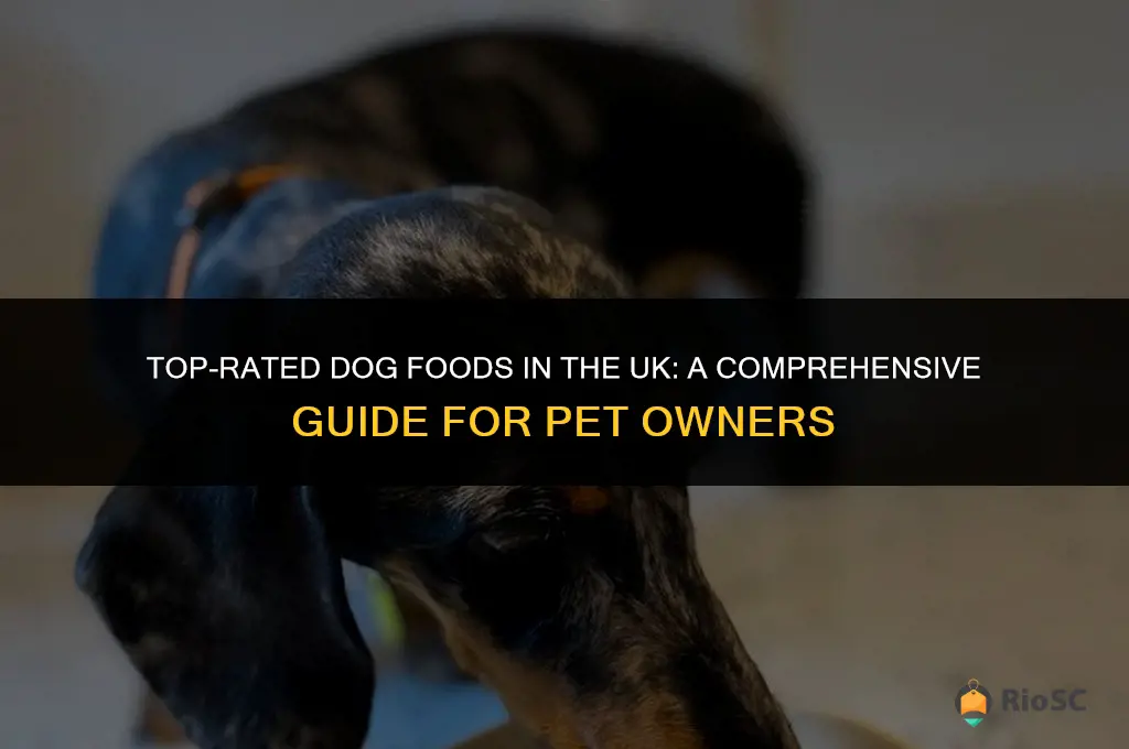 10 best dog foods uk