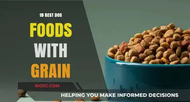 Top Grain-Inclusive Dog Foods: Nutritious Choices for Your Canine Companion