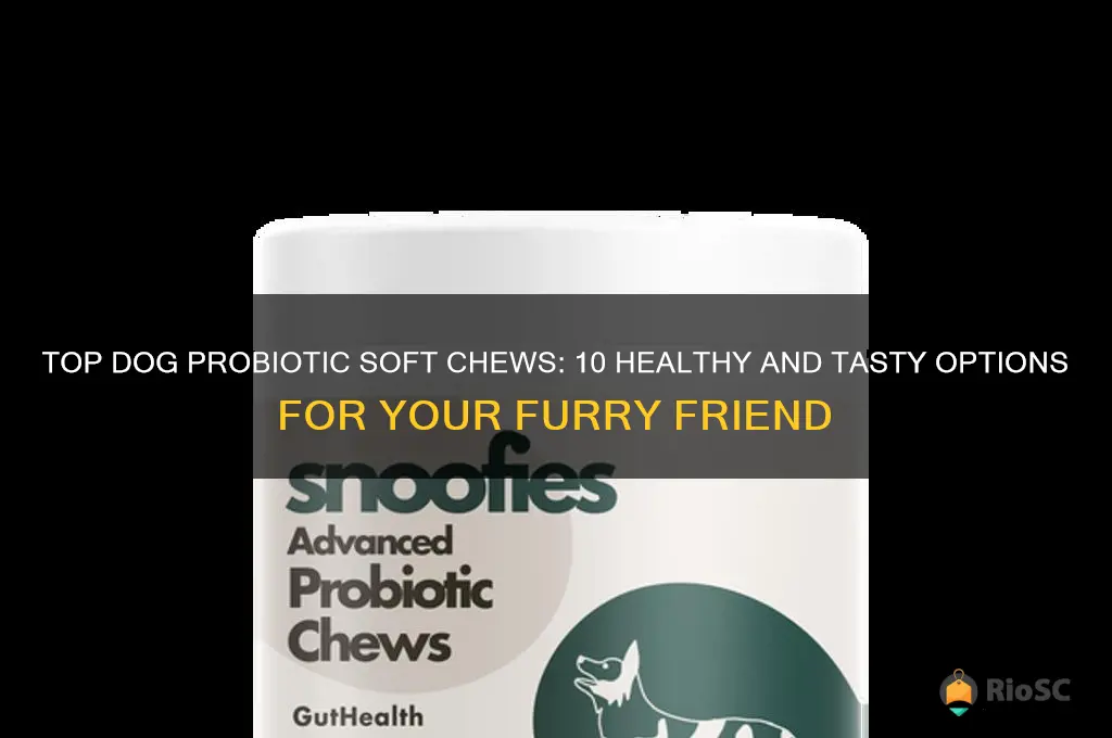 10 best dog probitics soft chews