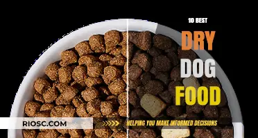 Top Picks for Your Furry Friend: The Best Dry Dog Food Options