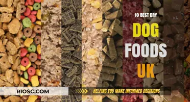 Top-Rated Dry Dog Foods in the UK: A Comprehensive Guide for Pet Owners