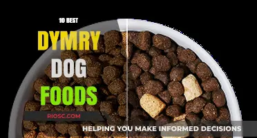 Top Dymry Dog Food Picks: A Comprehensive Guide to Nutritious Meals for Your Furry Friend