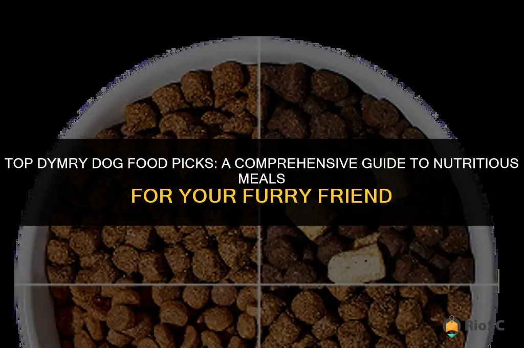 10 best dymry dog foods
