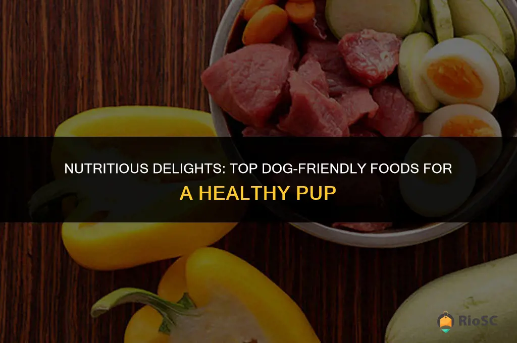 10 best foods to feed your dog