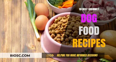 Delight Your Canine Connoisseur: Gourmet Dog Food Recipes to Impress