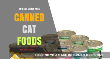 Top Grain-Free Canned Cat Foods: A Feline's Guide to Healthy Eating