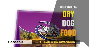Top Grain-Free Dry Dog Food Options: A Comprehensive Guide for Pet Owners