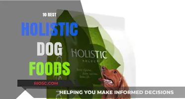 Top Holistic Dog Foods: Nourishing Your Pet the Natural Way