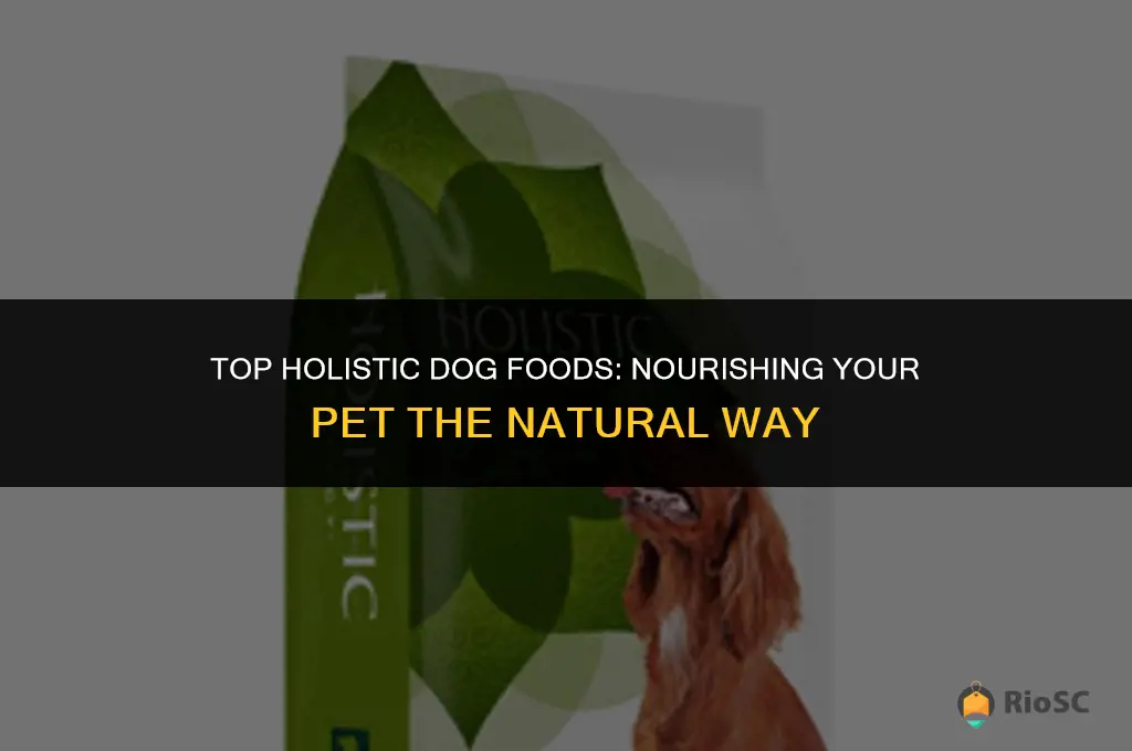 10 best holistic dog foods