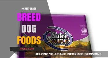 Top-Rated Large Breed Dog Foods: A Comprehensive Guide to Nutritious Options for Your Big Furry Friend