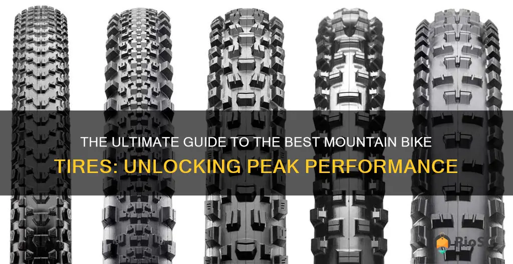 10 best mountain bike tires