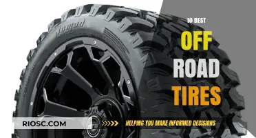 Top Off-Road Tires: Ultimate Guide to the Best Options for Rugged Terrain