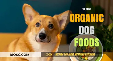 Top Organic Dog Foods: A Comprehensive Guide to Healthy Canine Nutrition